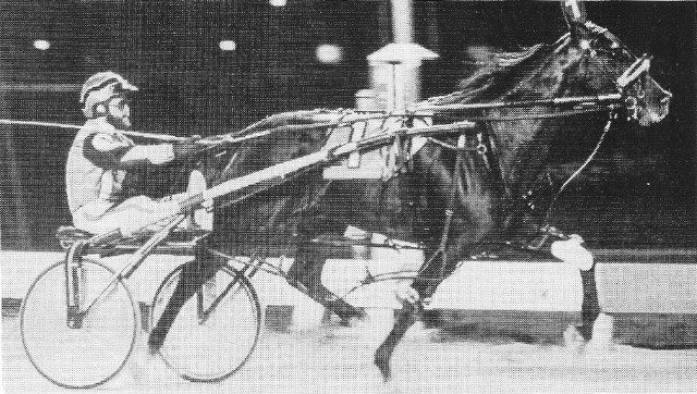 1984 Canadian Pacing Derby