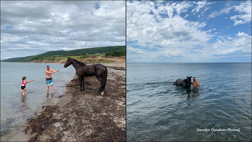 Neil MacInnis and daughter Rory taking Rhodena Road for a swim on the East Coast.