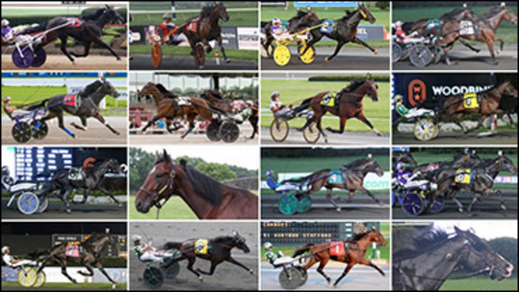 2019-Hambletonian-Horses-poll-370px.jpg