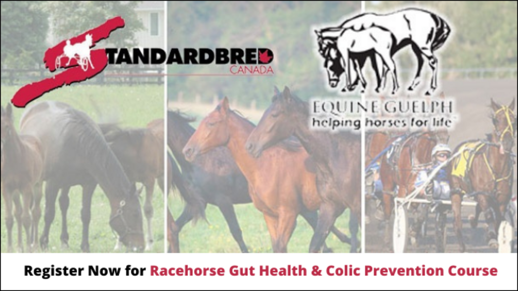 Register for Gut Health & Colic Prevention course