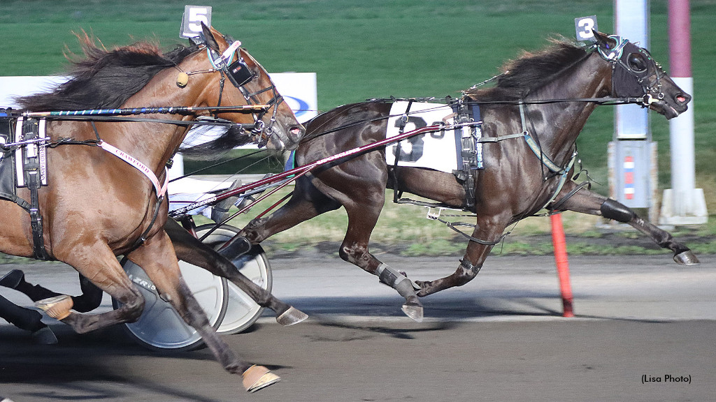 Meadowlands trotting action