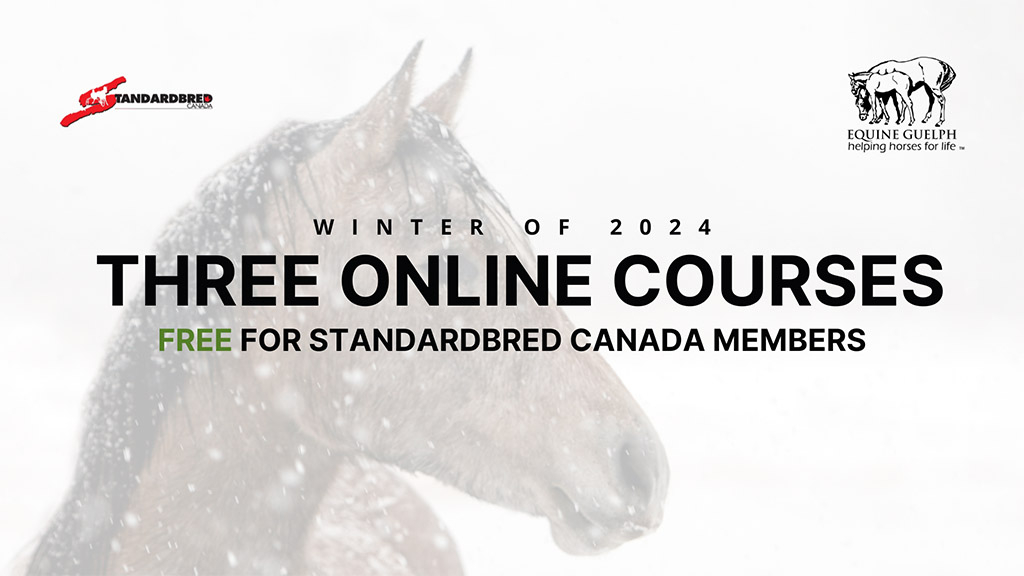 Three Equine Guelph online courses free for SC members