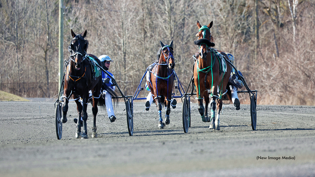 Horses on the track for qualifying and trainign at Woodbine Mohawk Park