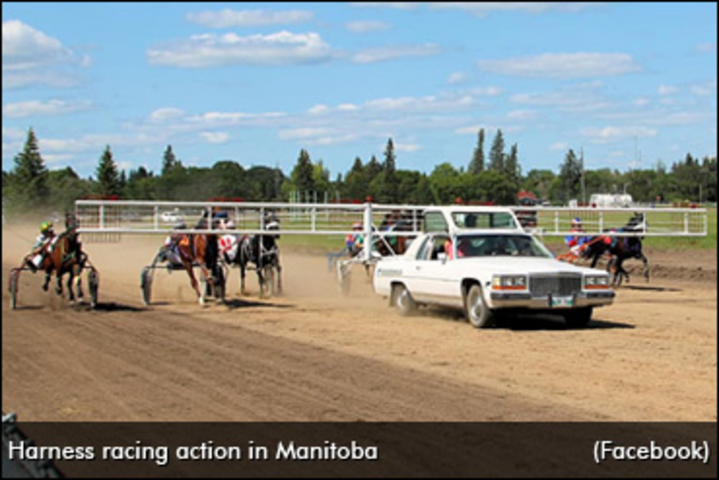 Manitoba-harness-racing-2020-370px.jpg
