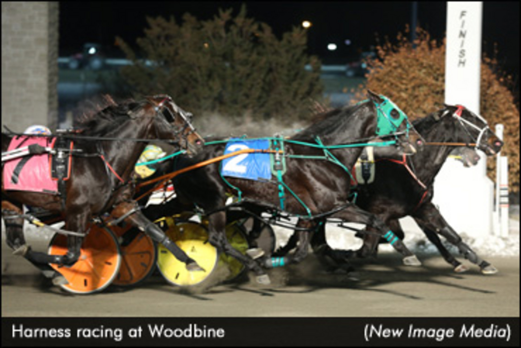 Racing-Woodbine-NewImageMedia-edit.jpg