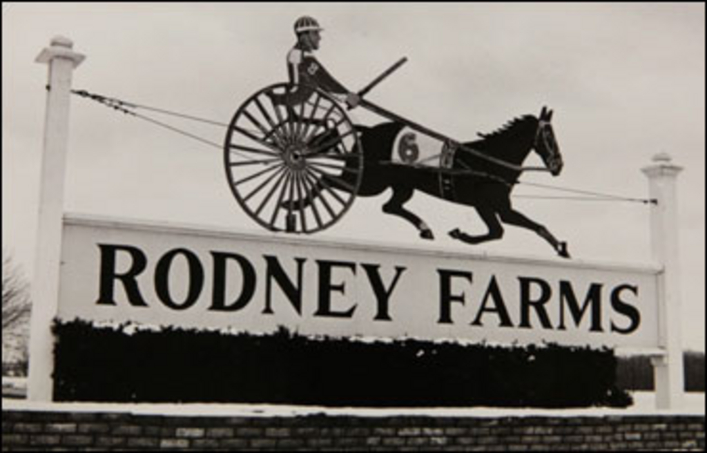 RodneyFarms-ScreenCapture.jpg