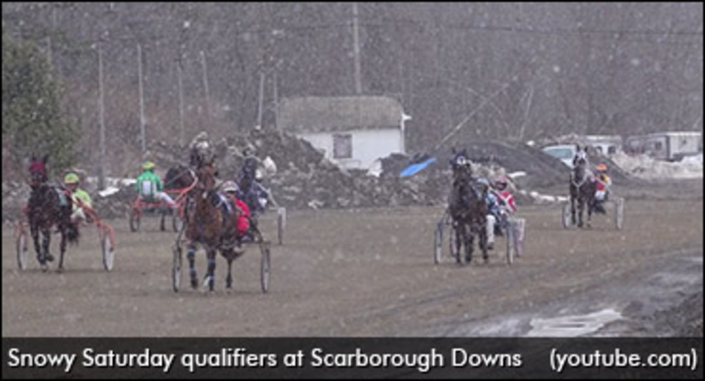 scarborough-downs-qualifiers.jpg