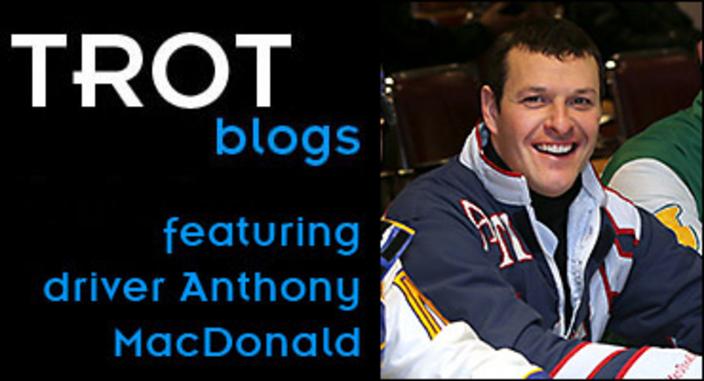 trot-blogs-anthony-madonald-370.jpg
