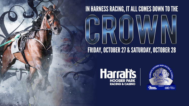 It all comes down to the Breeders Crown!