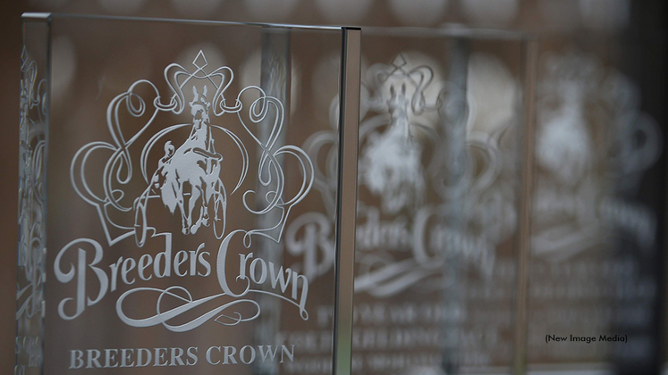 Breeders Crown trophies