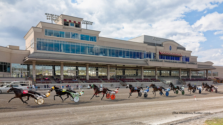 Harness racing at the Meadows