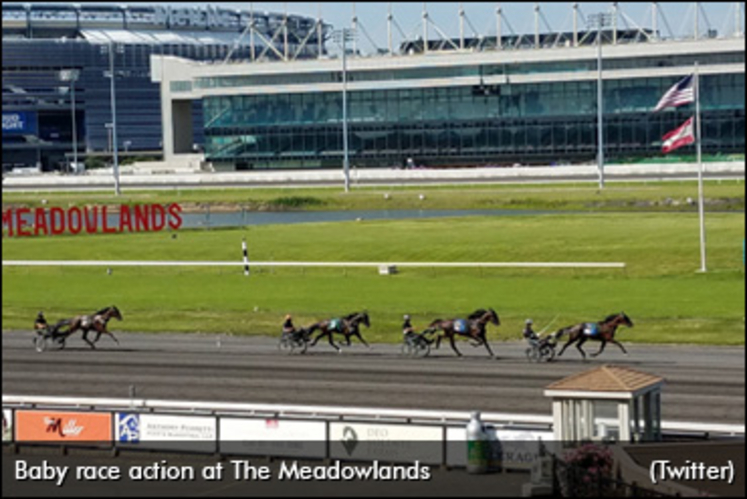 Meadowlands-Baby-Races-370px.jpg