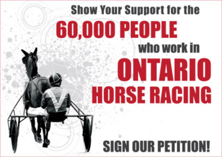 Support-Horse-Racing.jpg