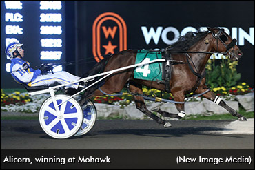 The Latest On Alicorn