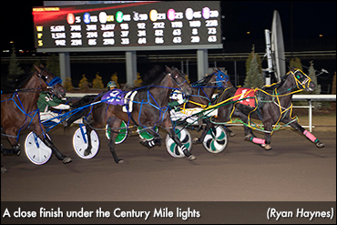 Night Stick Scores On Century Mile Opener