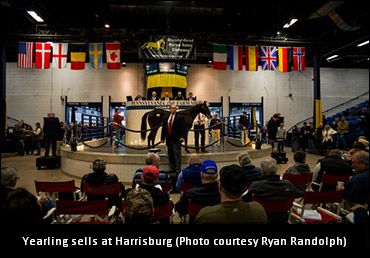 Harrisburg Mixed Sale Begins