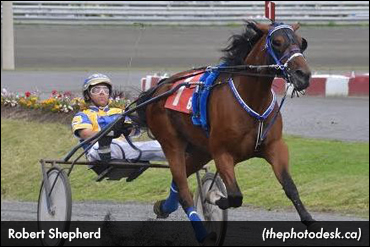 Shepherd Scores Six At Flamboro