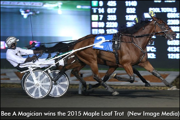 Bee A Magician Delivers First Foal