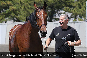 No Elitlopp For Bee A Magician