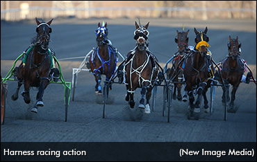 2020 Wagering Numbers Show Promise