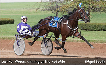 Lost For Words Exported