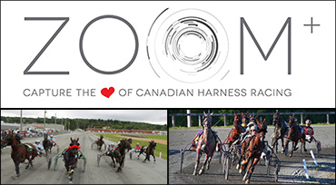 Last Call For Zoom Photos