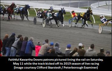 Horsepeople Support Kawartha