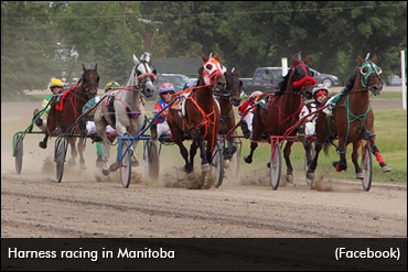 Manitoba To Fete Its Best Of 2019