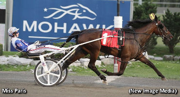 Rideau Gold For Miss Paris