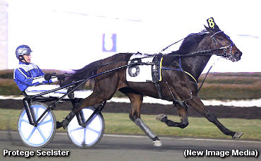 Trotters Duel In Autumn Stakes Elims