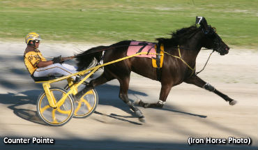 Fillies Flaunt It In Elora