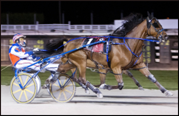 Ingraham’s Longshots Rock Pompano Ingraham’s Longshots Rock Pompano