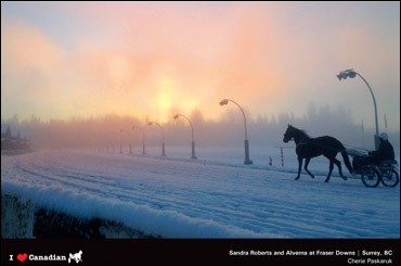 Meet Our Calendar Photographers