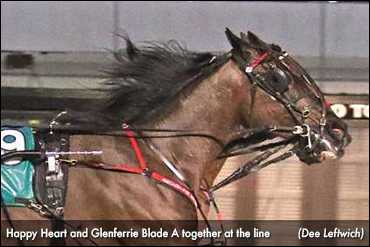 Stablemates Dead Heat At Pompano