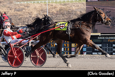 Jeffery P Roars To Meadows Win