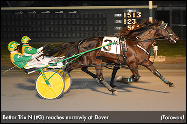 Bettor Trix N Reaches At Dover