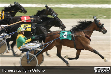 Ontario Industry Discussion Friday