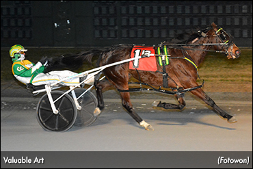 Valuable Art Tops In Dover Distaff