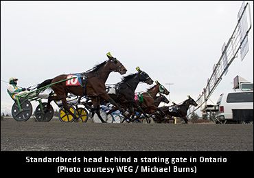 2018 OSS Schedule Released