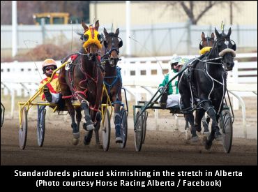 Verlik Named Horse Racing Alberta CEO