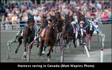 Wagering Up In Canada Wagering Up In Canada