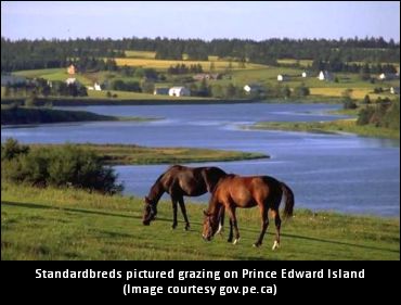 New Group Doesn’t Mince Words