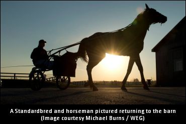 Canada’s First Two-Year-Old Qualifier Winners Of 2019