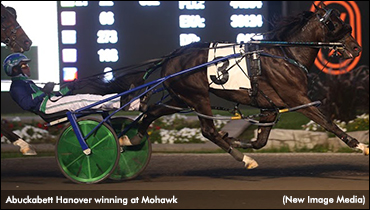 ‘Abuckabett’ Bolts In Metro Elim