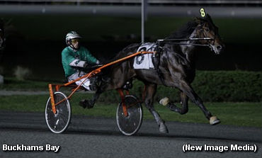 Faves Deliver In Gold Elims