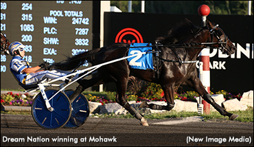 Dream Nation Giant At Georgian