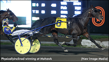 Physicallyinclined In Mohawk Preferred