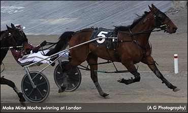 Make Mine Mocha Motors At London