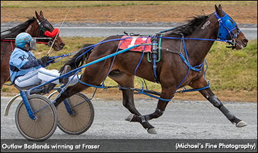 Outlaw Badlands Bests BC-Breds