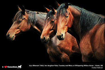 February’s Calendar Photographer